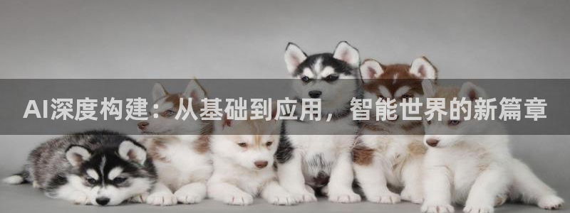 AI深度构建：从基础到应用，智能世界的新篇章