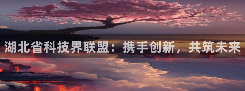 湖北省科技界联盟：携手创新，共筑未来