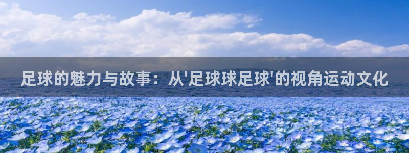 足球的魅力与故事：从\'足球球足球\'的视角运动文化