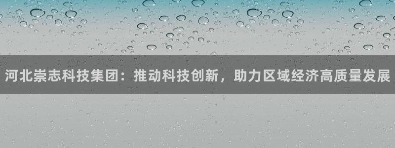 河北崇志科技集团：推动科技创新，助力区域经济高质量发展
