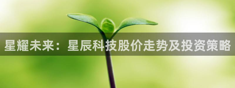 星耀未来：星辰科技股价走势及投资策略
