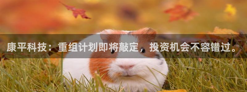 康平科技：重组计划即将敲定，投资机会不容错过。