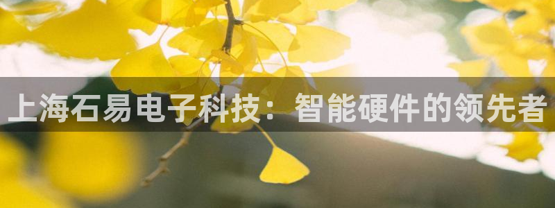 上海石易电子科技：智能硬件的领先者