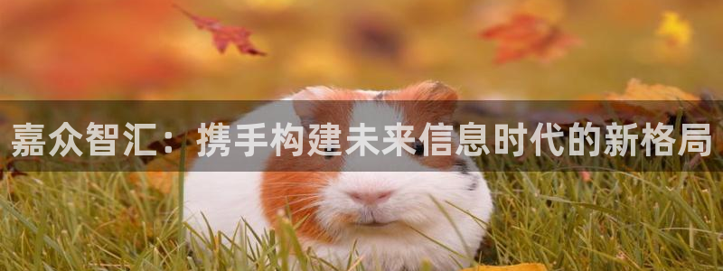 嘉众智汇：携手构建未来信息时代的新格局