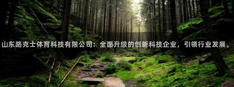 山东路克士体育科技有限公司：全面升级的创新科技企业，引领行业发展。