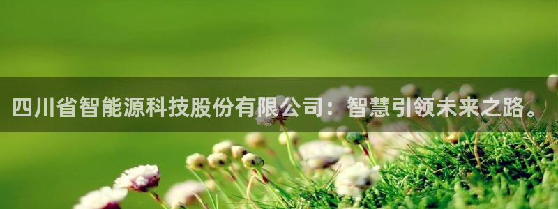 四川省智能源科技股份有限公司：智慧引领未来之路。