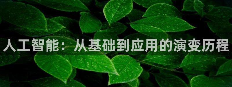 人工智能：从基础到应用的演变历程