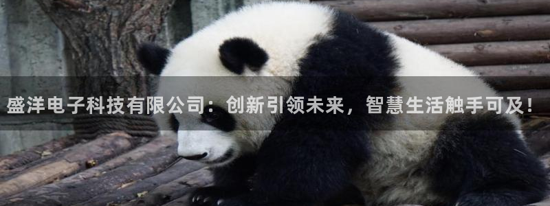 盛洋电子科技有限公司：创新引领未来，智慧生活触手可及！