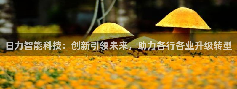 日力智能科技：创新引领未来，助力各行各业升级转型