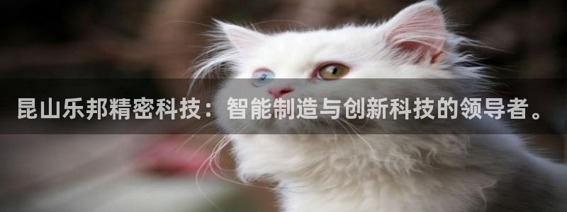 昆山乐邦精密科技：智能制造与创新科技的领导者。