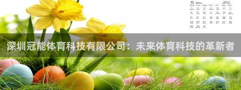 深圳冠能体育科技有限公司：未来体育科技的革新者