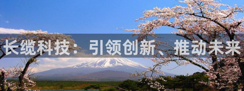 长缆科技：引领创新、推动未来
