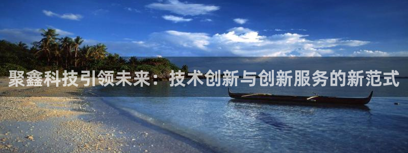 聚鑫科技引领未来：技术创新与创新服务的新范式