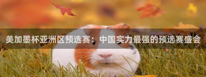 美加墨杯亚洲区预选赛：中国实力最强的预选赛盛会