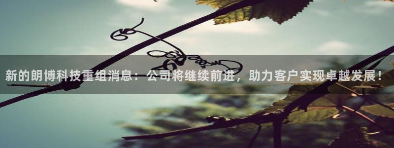 新的朗博科技重组消息：公司将继续前进，助力客户实现卓越发展！