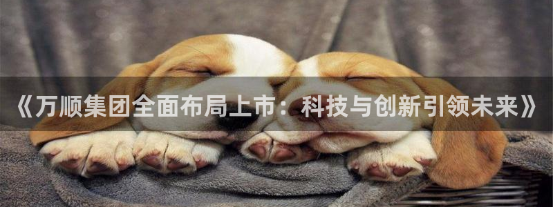 《万顺集团全面布局上市：科技与创新引领未来》