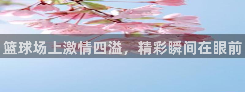 篮球场上激情四溢，精彩瞬间在眼前
